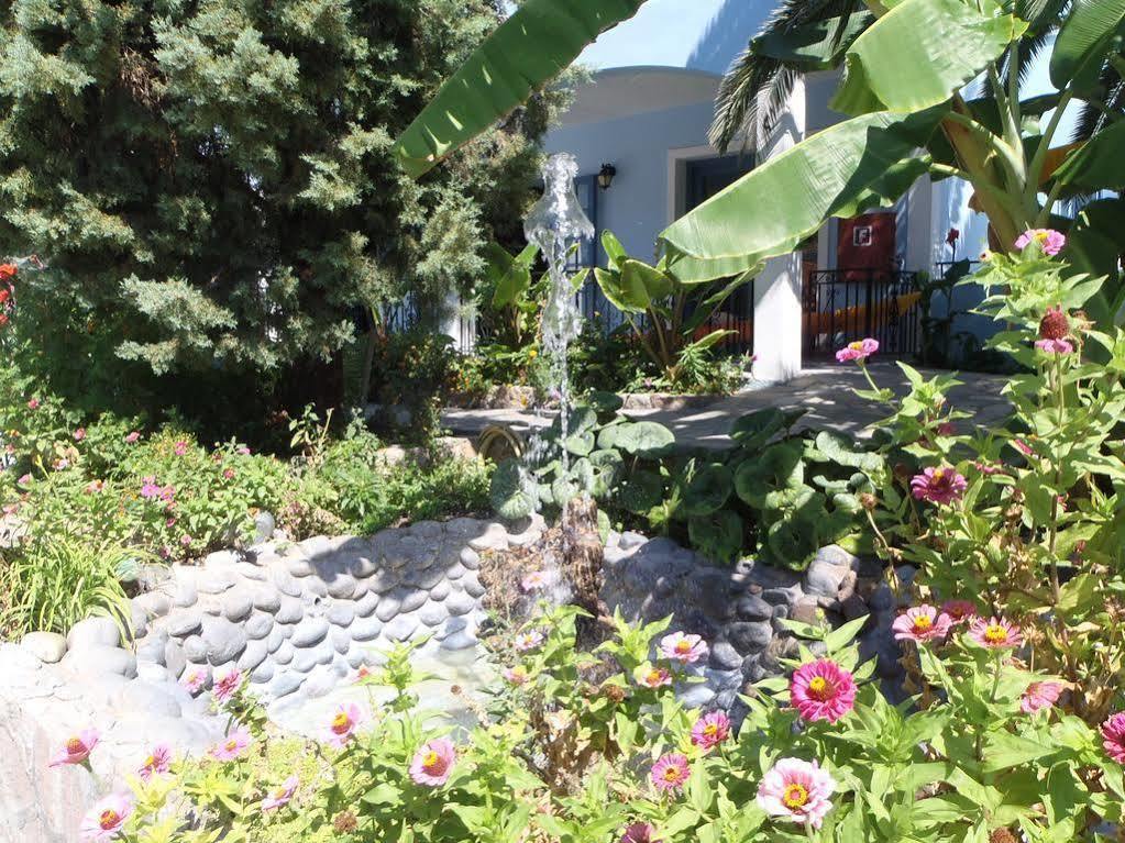 Blue Sky Hotel - Petra - Lesvos - Greece Luaran gambar